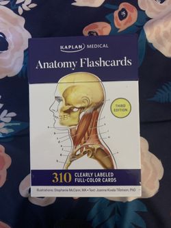 Anatomy flash cards