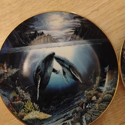 Collector Plates