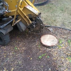 Stump Grinding