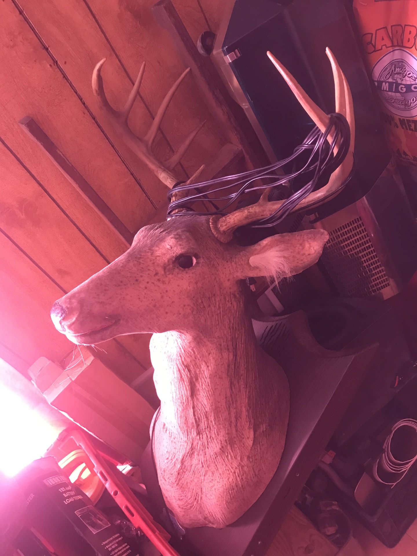 RARE Working Gemmy Animated Talking Trophy Buck Singing Dancing Deer