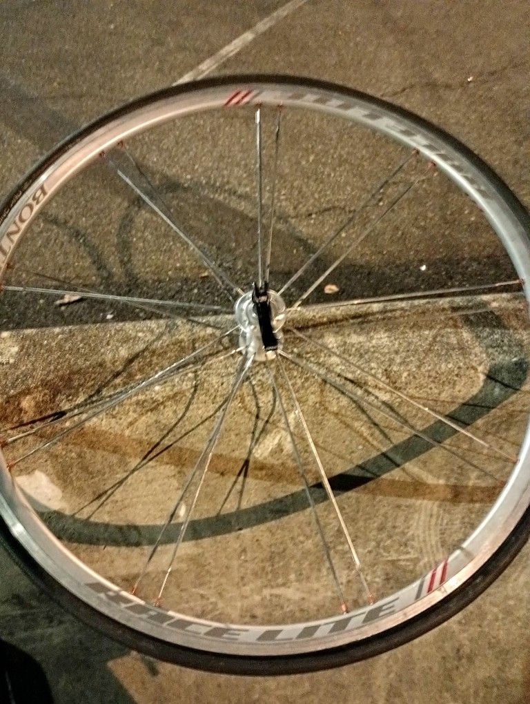 Bontrager Race Lite Rims W/ Vittoria Rubino Pro Tires