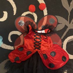 Lady Bug Costume Size 4T