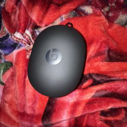 Beats Headphone Pro CASE Carrier 