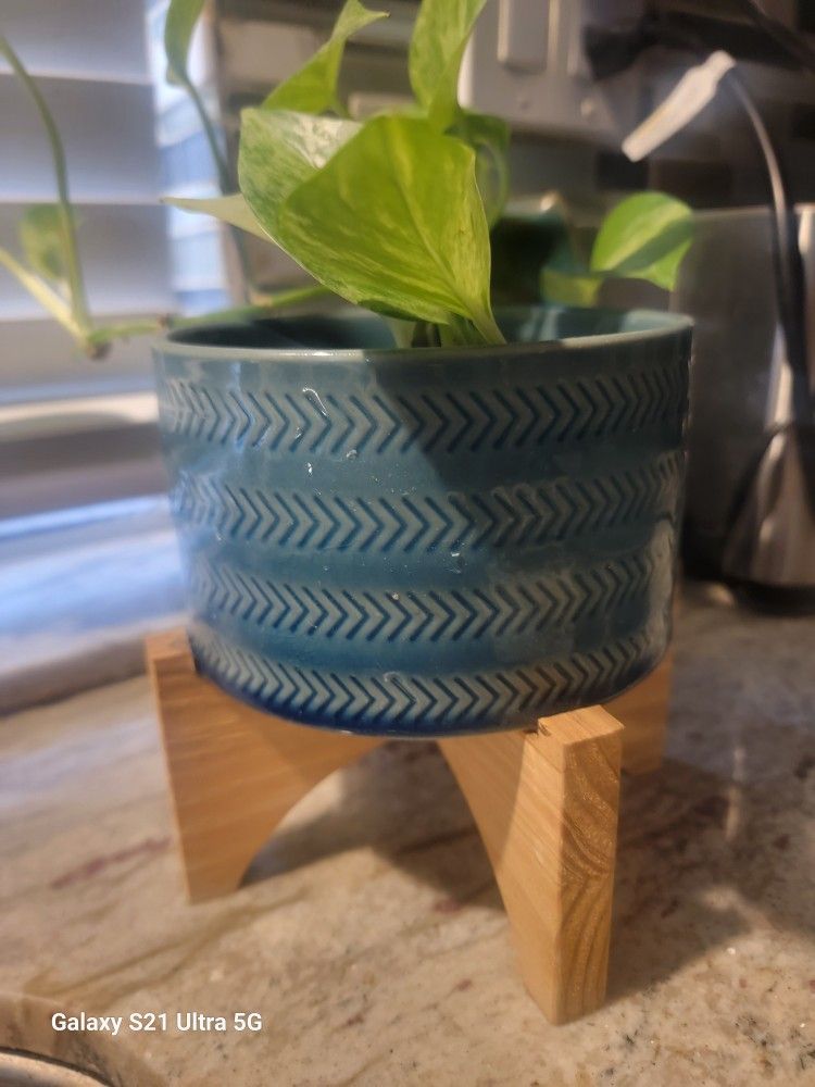 2 / Ceramic Planter