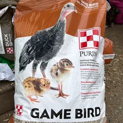 Game bird protein, starter crumbles