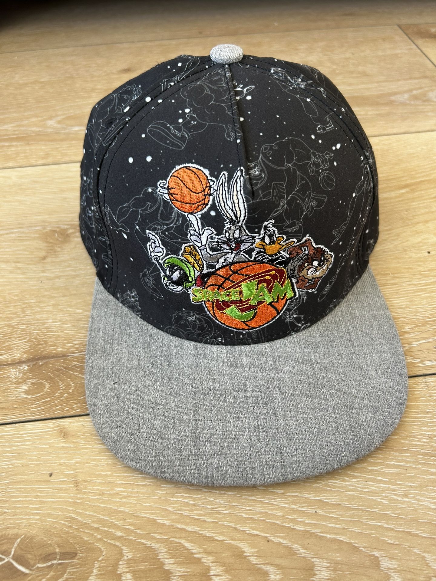 Space Jam looney tunes snapback
