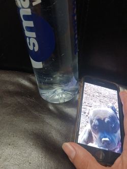 Smart Water And FEMALE B\_/ |_|_Y