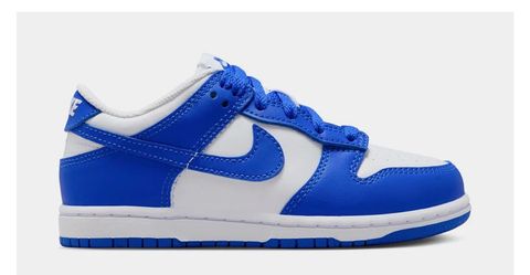Brand New Kids Nike Dunks