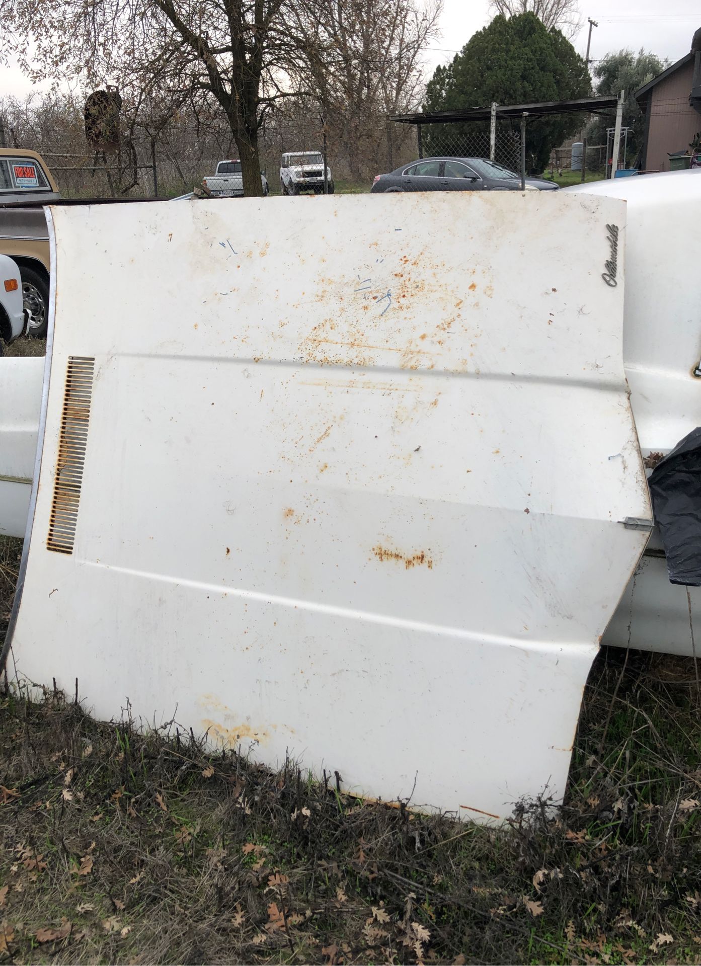 1968 Cutlass Supreme HOOD