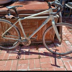 ALIGHT  / Liv  HandCrafted by Giant  ~Fixxy Bike  Aluminum  Lightweight  Light Colored PowderCoaTed