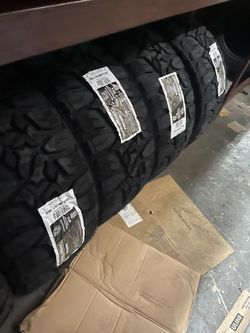 Pegasus 33125024 All-Weather Tire