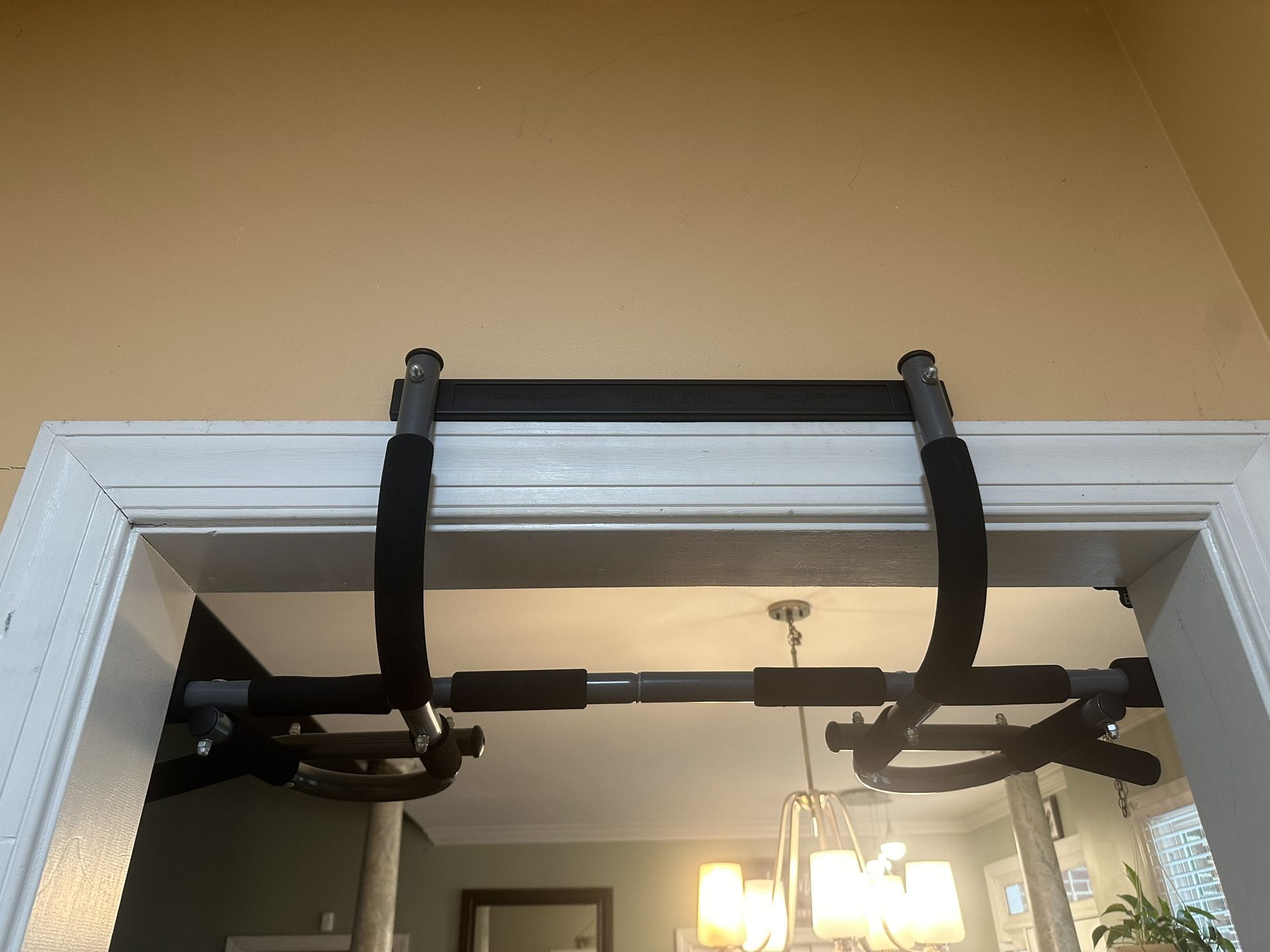 Pull Up Bar