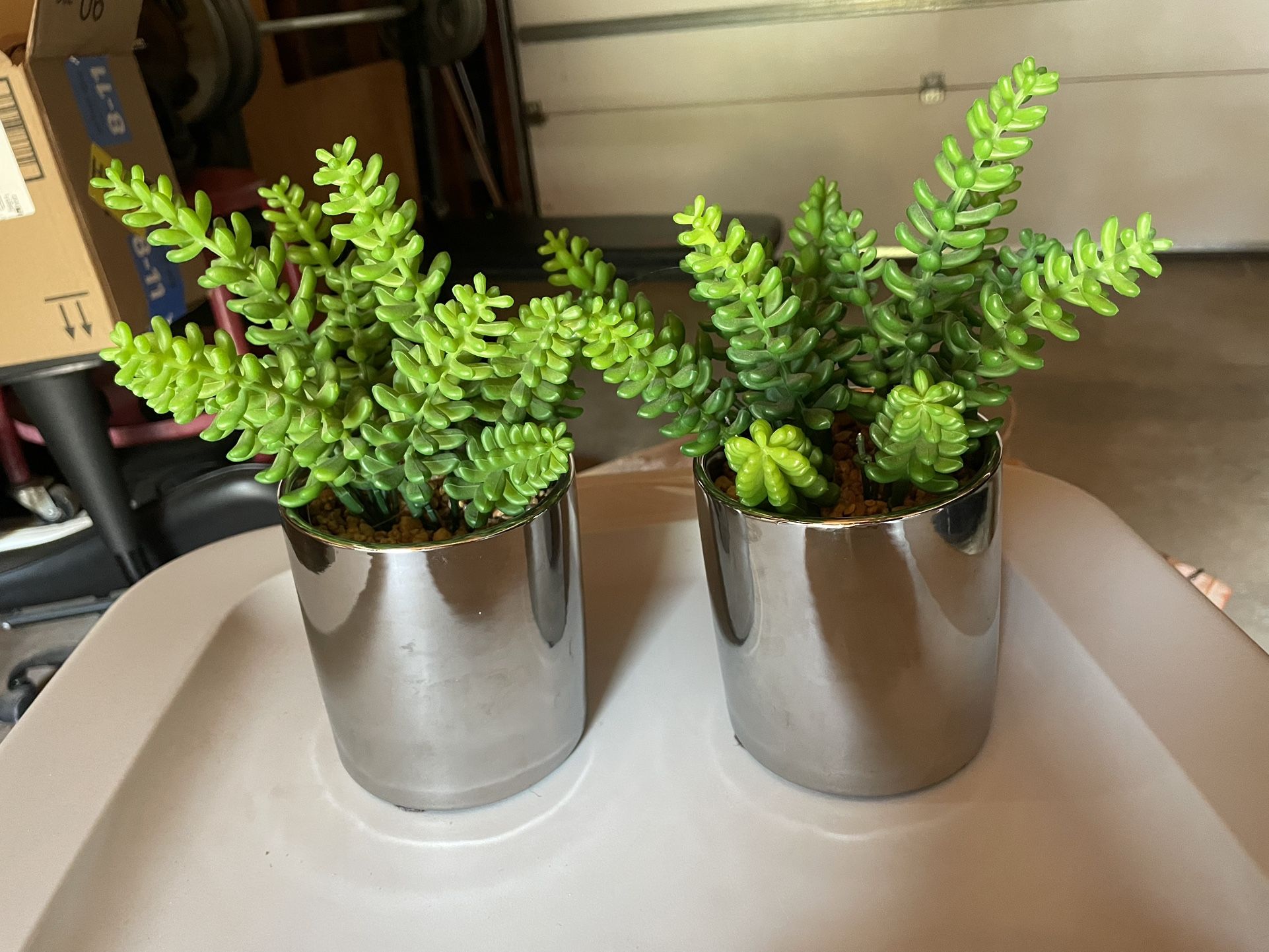 Fake Succulents Cb2