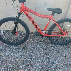 Mongoose And Genesis Bike