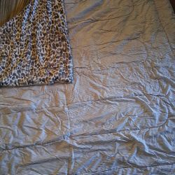 Comforter Queen 2 Sided light Weight  Gray