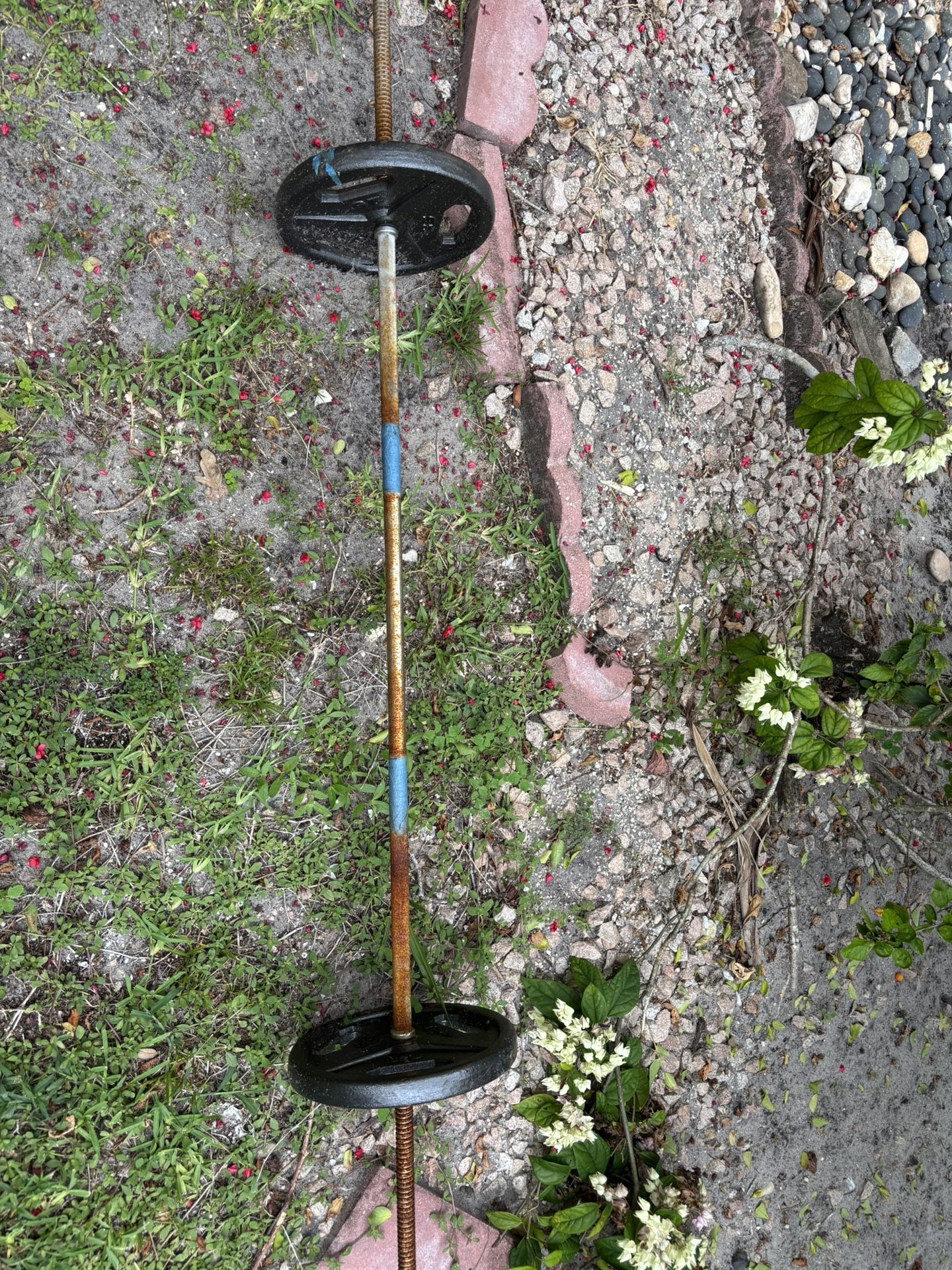 Home Gym Starter Bundle – Weights, Barbell, and Dumbbell