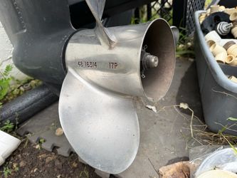 Mercury  25 in lower unit/ vengeance prop 17 P