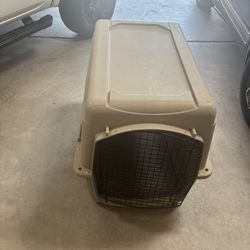 Dog Kennel