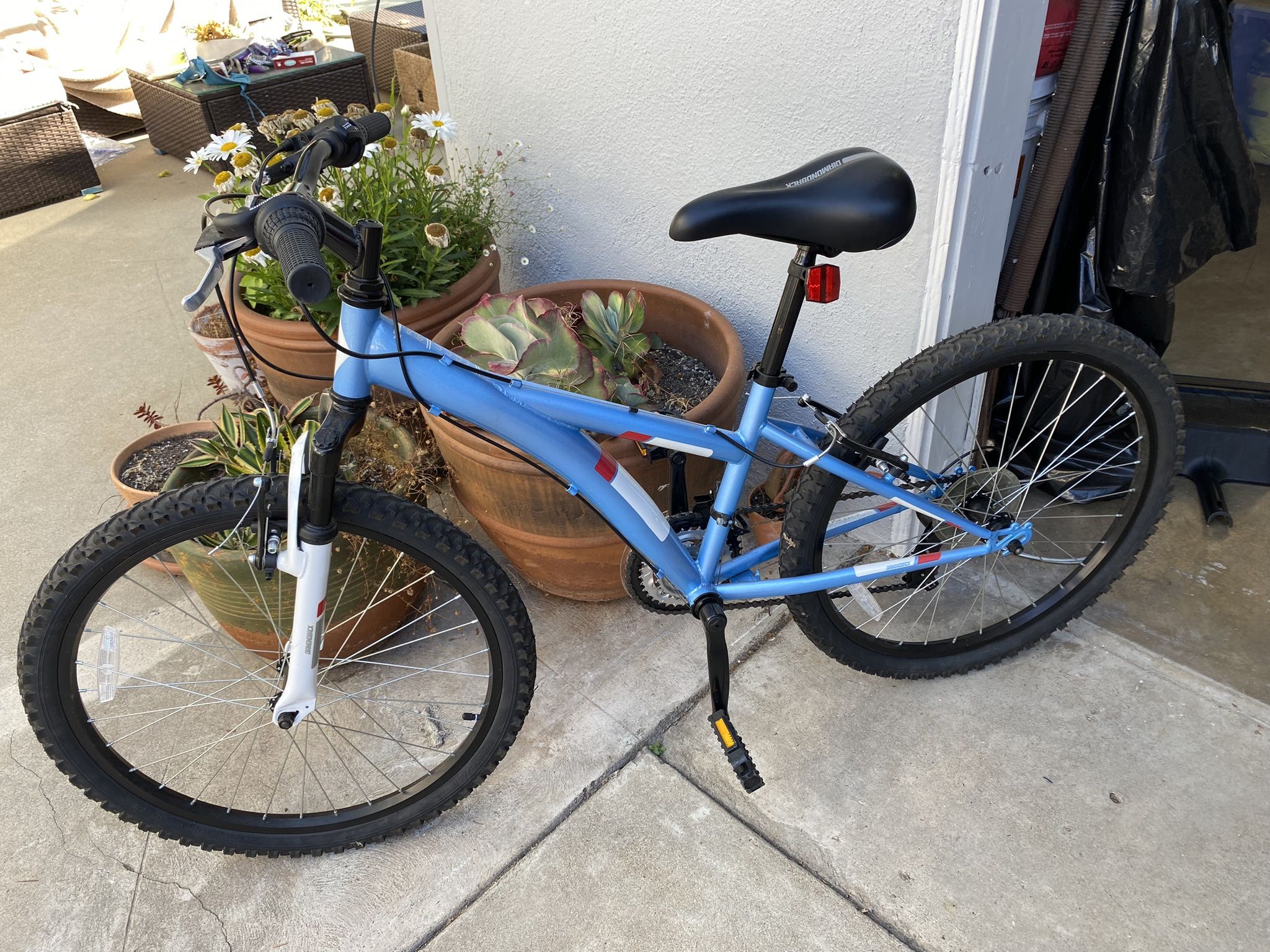 24” Girls Diamondback Mountain Bike