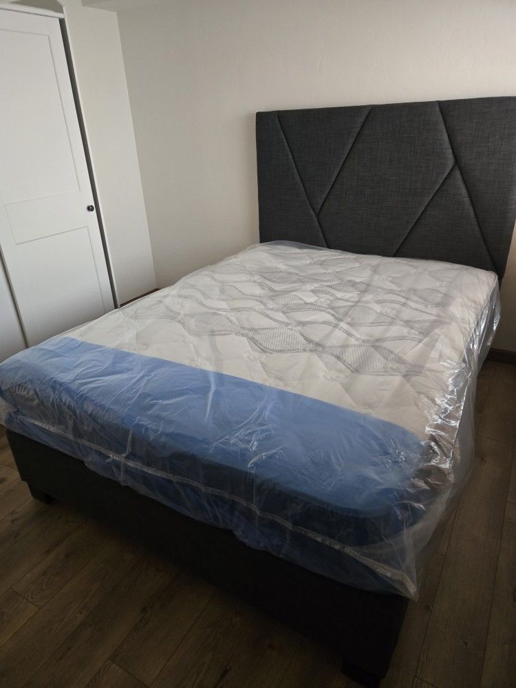 Mattress Tuesday Single Twin 99 Full Double 159 Queen Bed 179 King Mattress 229 California King 229 Frame 69 XL Twin Mattresses Same Day Delivery