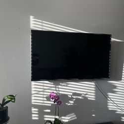 LG 55 Smart Tv 4k