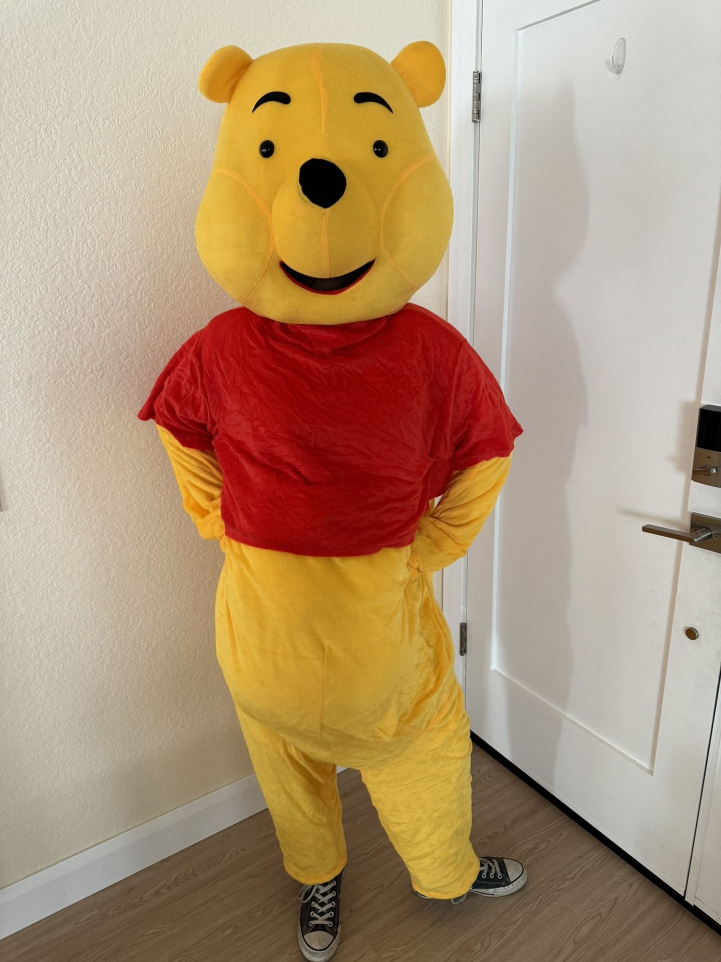 Winnie The Pooh Party Character Costume