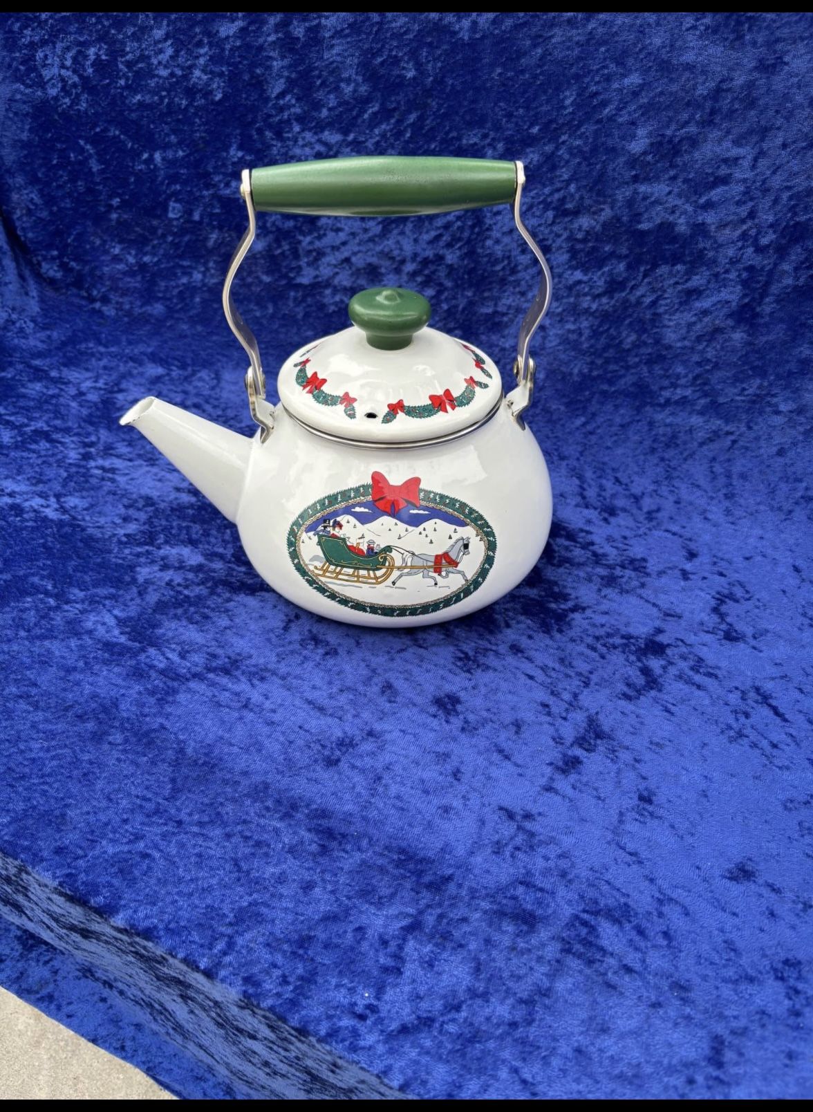 Beautiful  Tea kettle