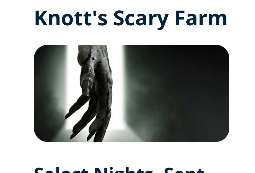 Knottscarry Night 