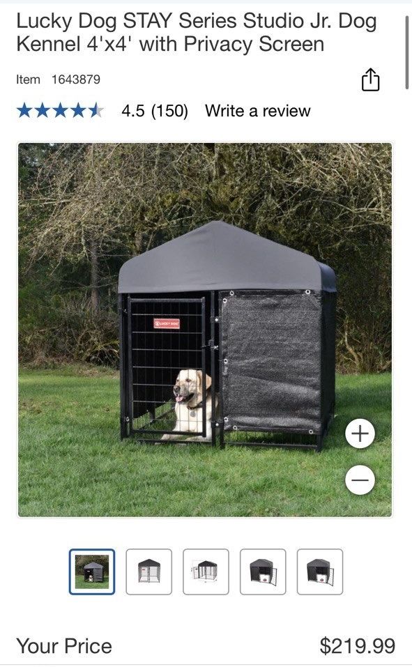Lucky Dog STAY Series Studio Jr. Dog Kennel 4'x4' with Privacy Screen