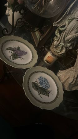 PRINCESS HOUSE -2 Platos Repuestos Vintage Garden -$20 Cada 1