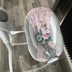 Baby girl Swing  -Ingenuity