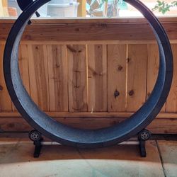 One Fast Cat Treadmill Exercise Wheel