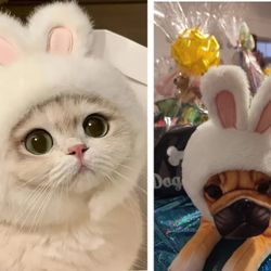 Bunny Ears For Dogs & Cats 