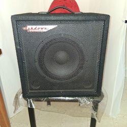 Ashdown Perfect 10 30 Watts Bass Amp