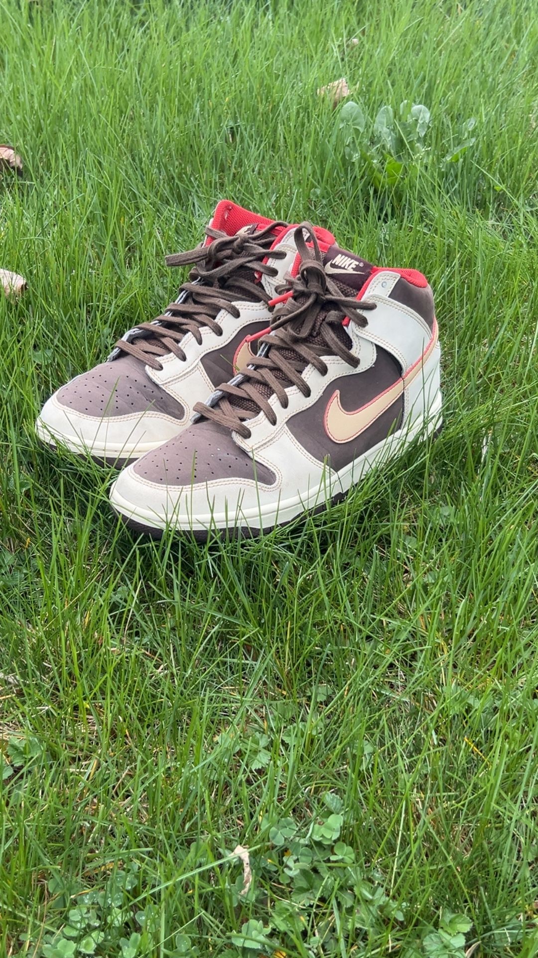 Nike Dunks High Top