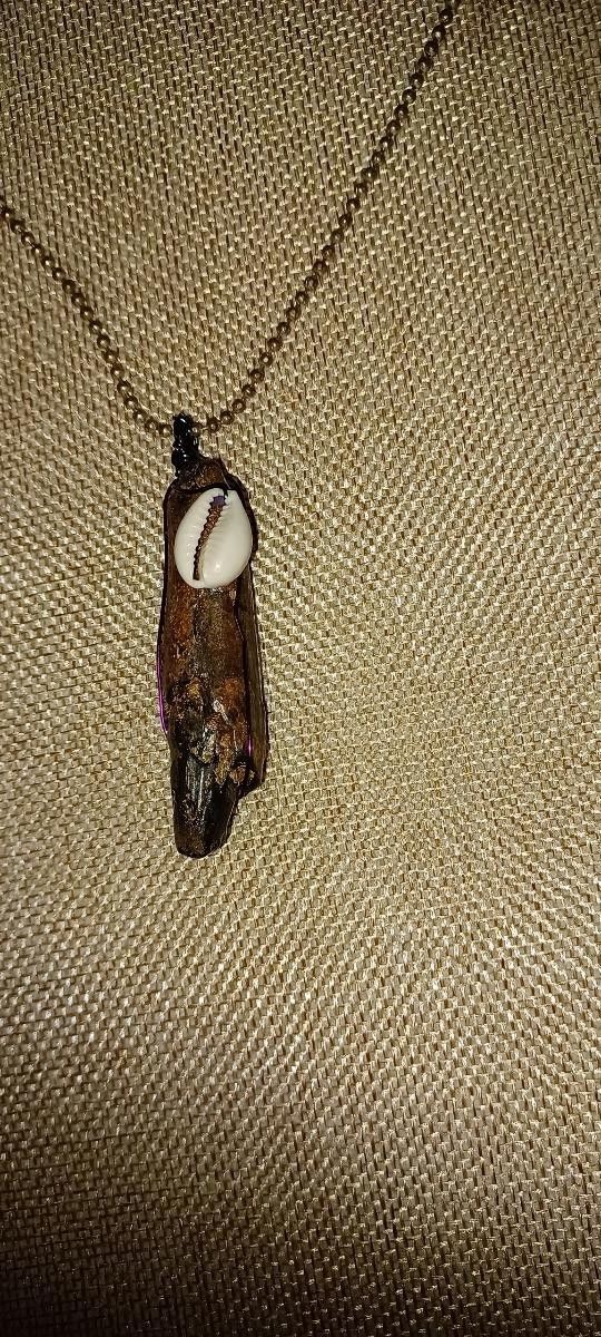 NEW DESIGNED JEWELRY FOSSILS ONE OF A KIND OCEAN CRYTOCERAS NAUTILOID SQUID, SABER FANGED FISH TOOTH, LOBSTER, AcrophyseterWHALE TOOTH!