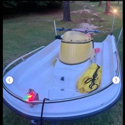 Very Rare Yamaha Jet N Cat ( Mold )