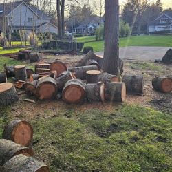 Firewood