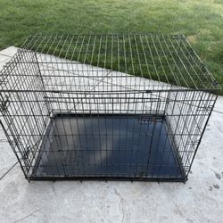 Dog  Cage