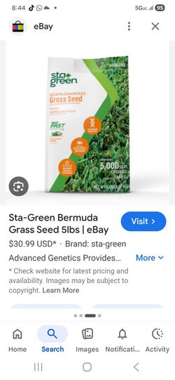 Bermuda  Grass