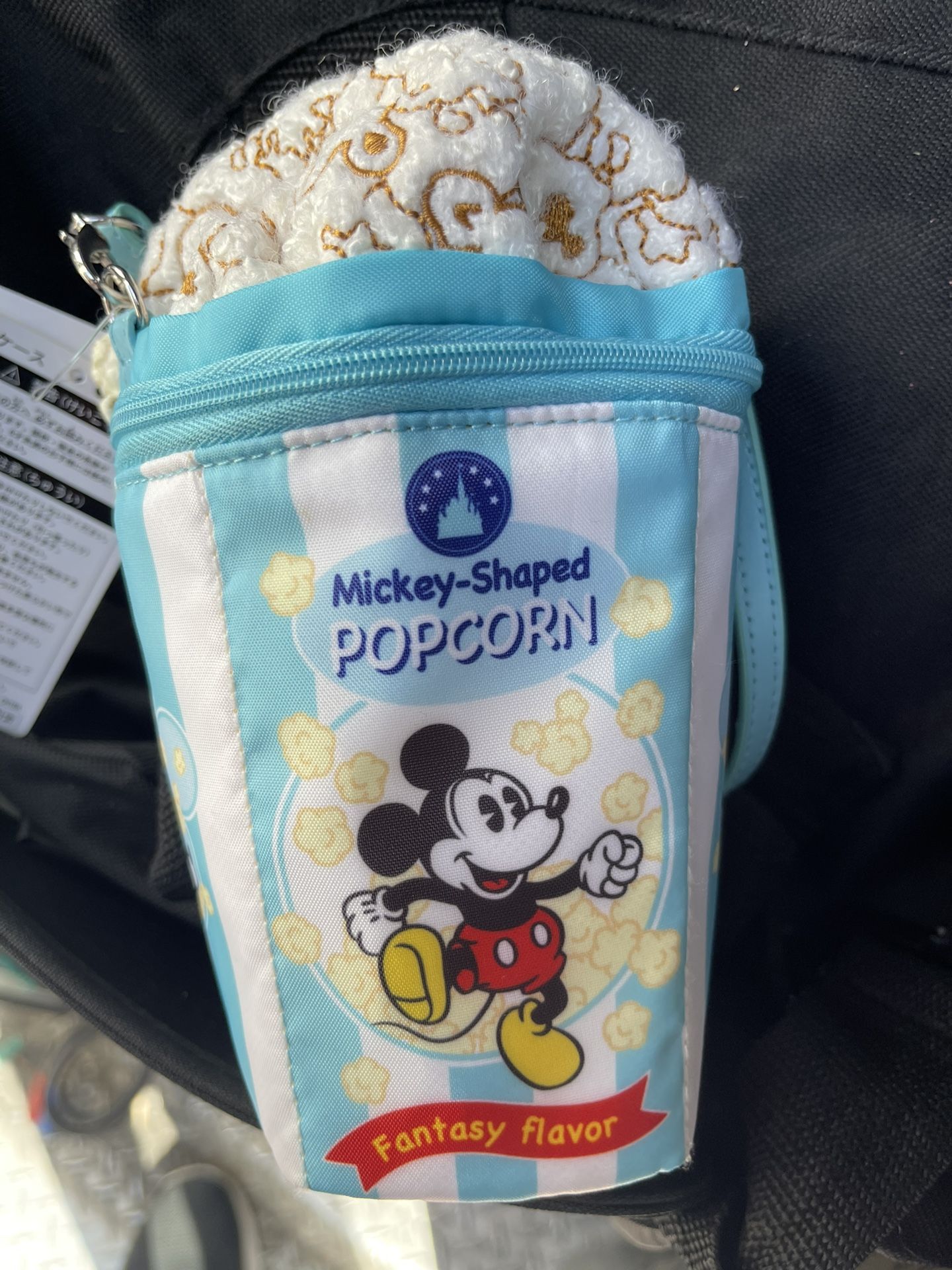 Tokyo Disney Popcorn Case