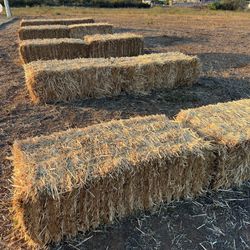 Straw Bales $10.00 Each 20 Available 