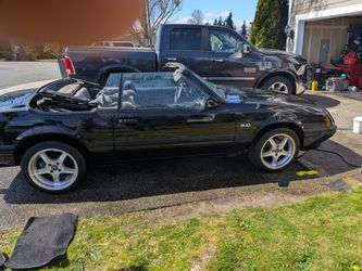 1984  Ford Mustang