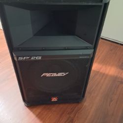 Peavey SP5G 15" (1200W) Loud Speaker