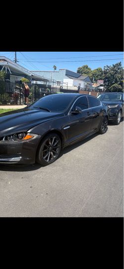 Jaguar  2013