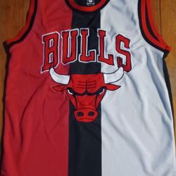 Chicago Bulls Men's Size Medium Jeff Hamilton Colorblick Stitched Jersey Jordan Pippen 