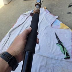 shimano beast master triton roller rod