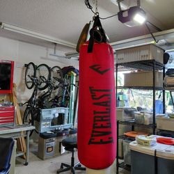 Everlast Heavyweight Punching Bag And Chain