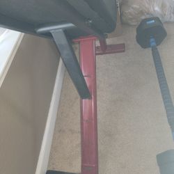 WEIGHT BENCH 