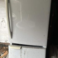 Lg Refrigerator